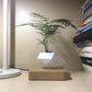 Potzi: Magnetic Levitating Bonsai Planter with Rotating Floating Pot & Wooden Base, Geometric Indoor Decor for Air Plants & Minimalist Homes